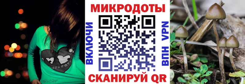 Псилоцибиновые грибы мухоморы  закладка  Среднеколымск 